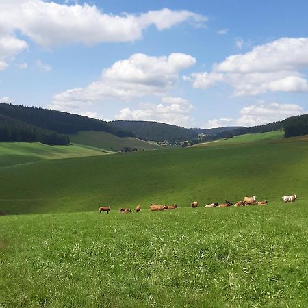 Appartamento Haus Zum Sternen Vöhrenbach Esterno foto
