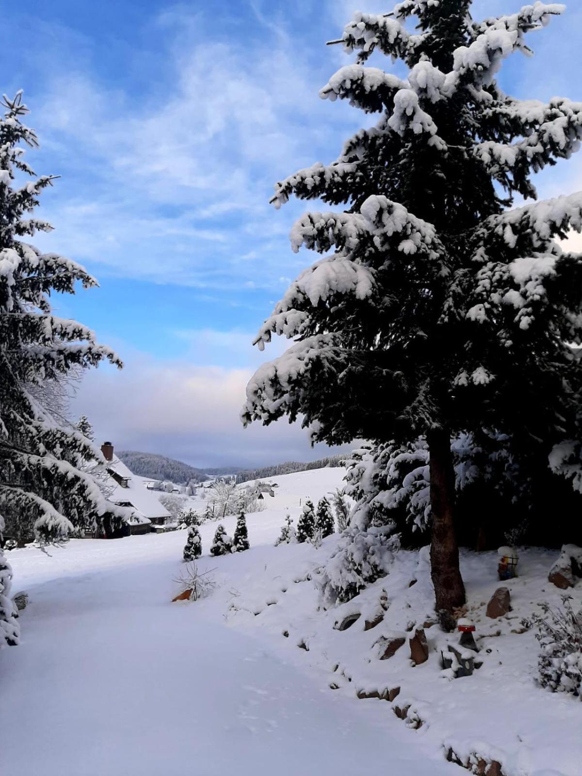 Appartamento Haus Zum Sternen Vöhrenbach Esterno foto