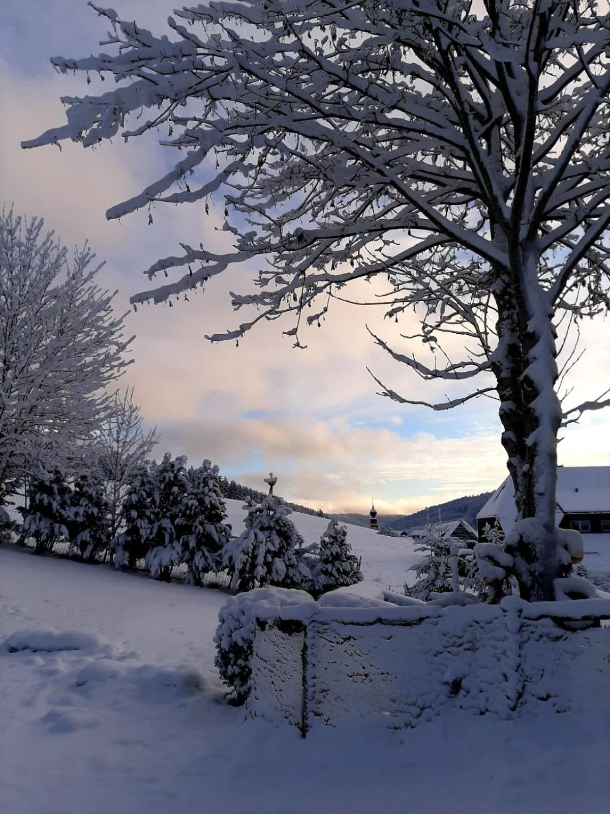 Appartamento Haus Zum Sternen Vöhrenbach Esterno foto