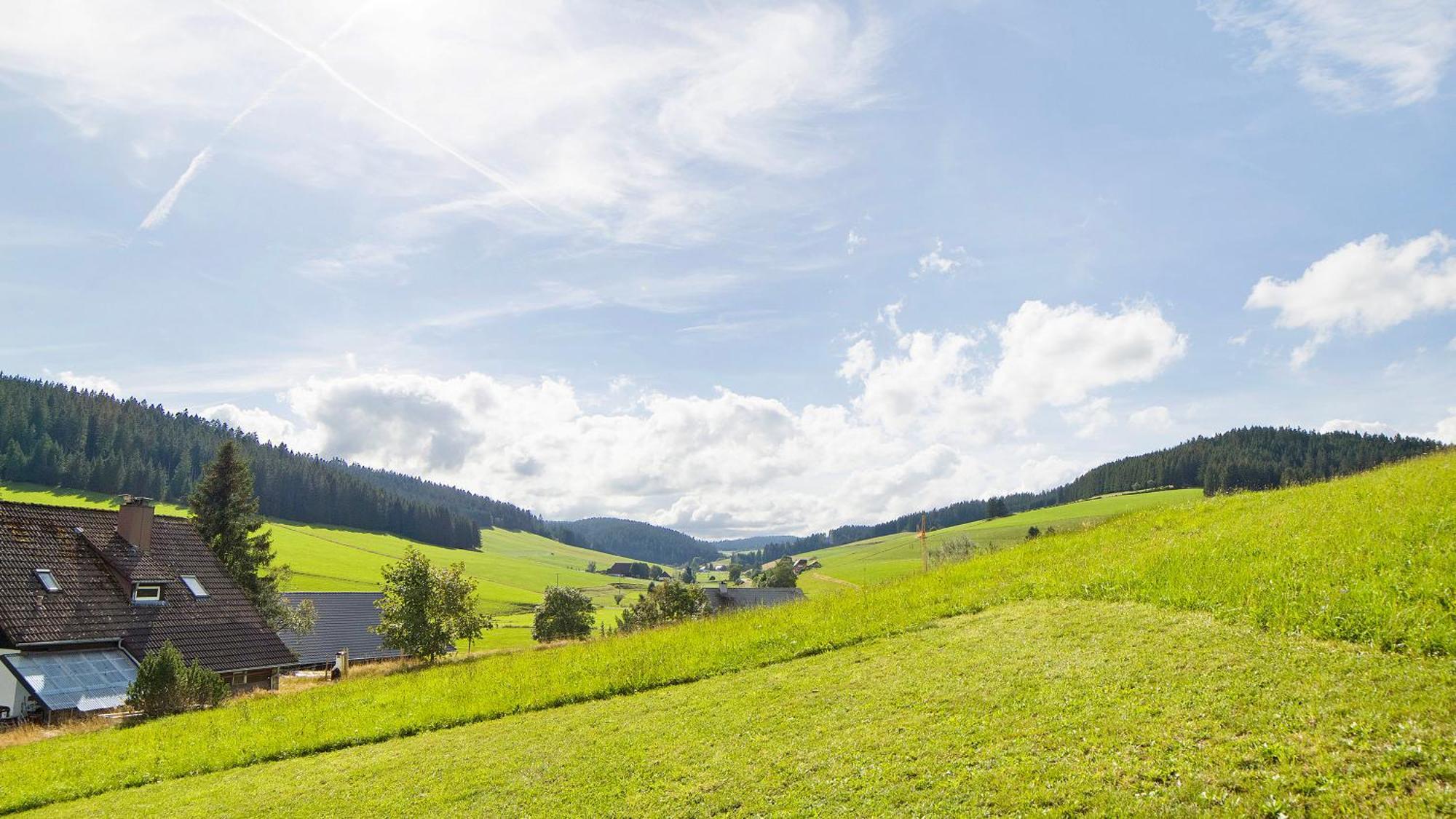 Appartamento Haus Zum Sternen Vöhrenbach Esterno foto