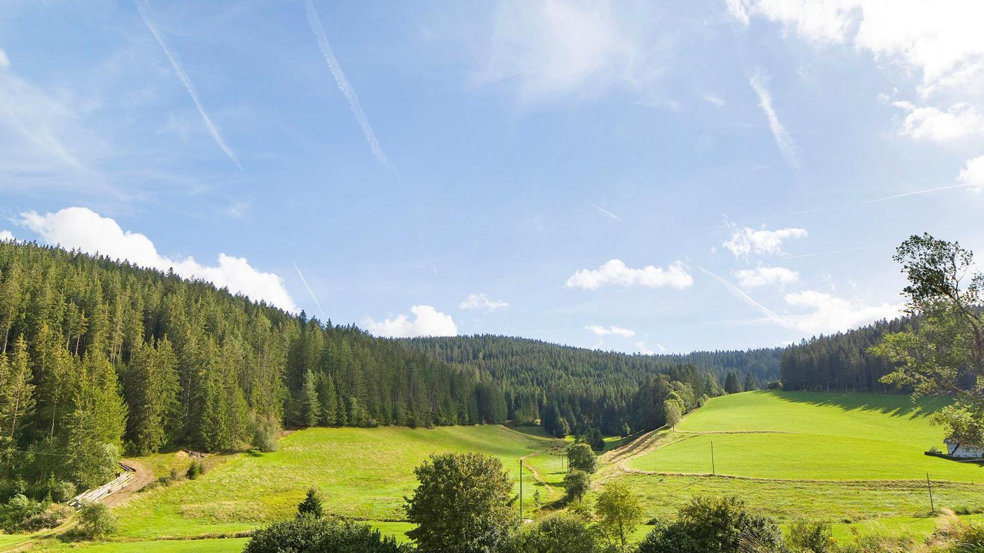 Appartamento Haus Zum Sternen Vöhrenbach Esterno foto